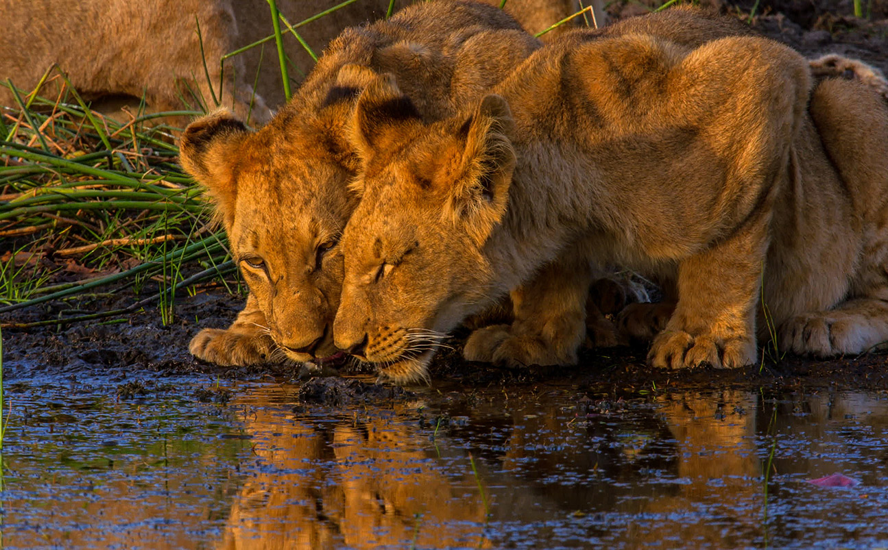 Tanzania