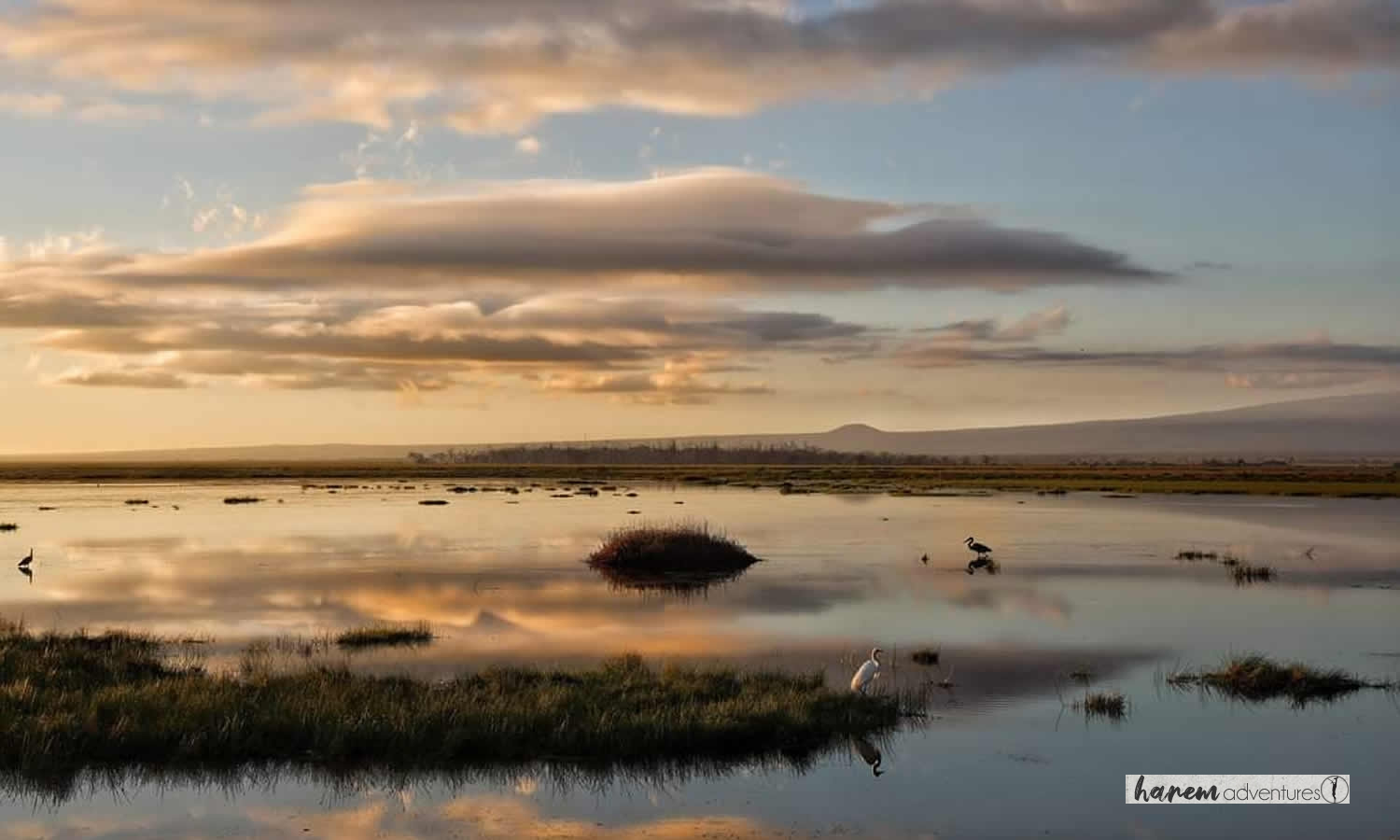 Splendour Of Kenya